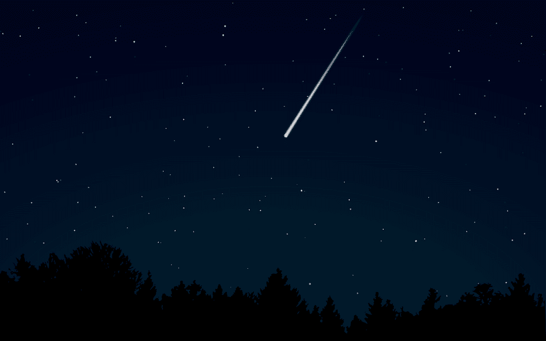 Vietato introdurre biciclette