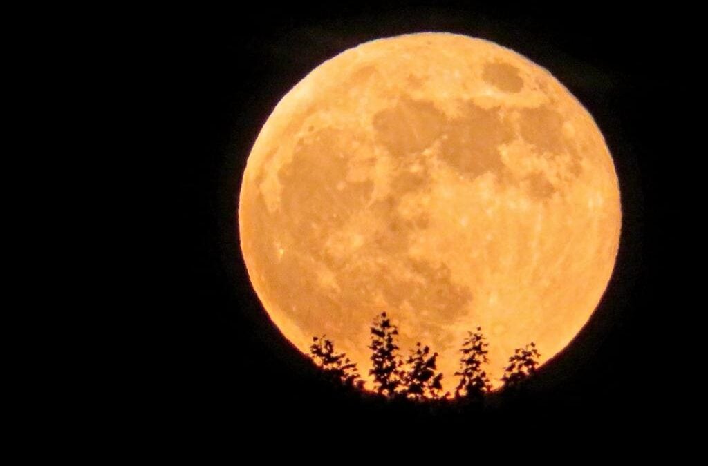 Fiandre in bici: una vacanza in tutti i sensi.