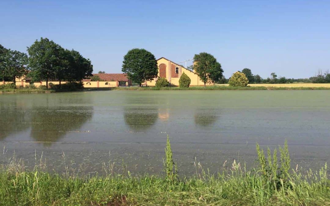 La gravel dei Navigli