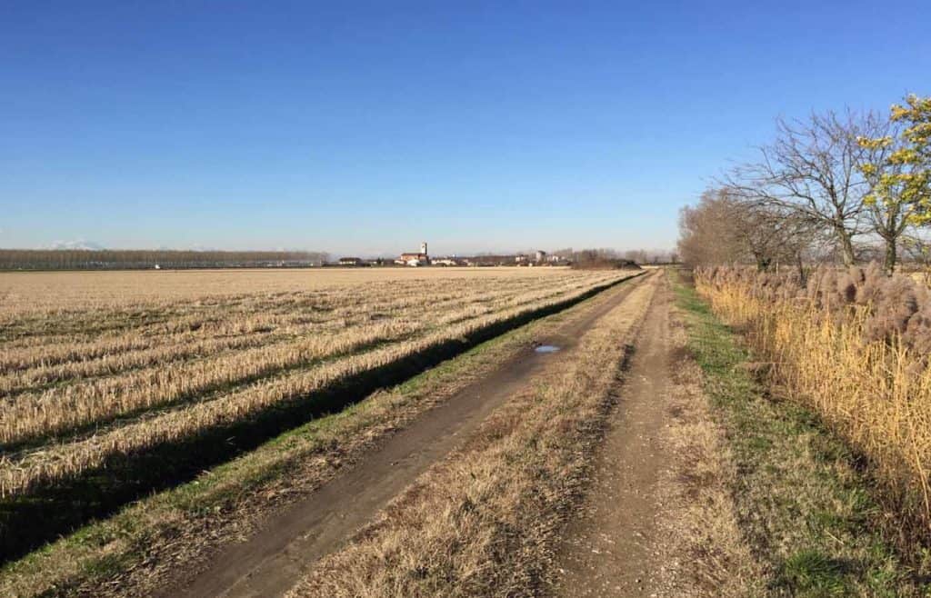 Milano Gravel Roads di Ottobre