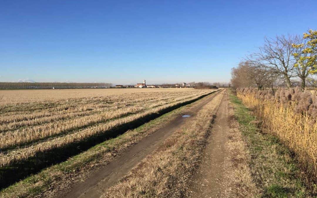 GRAVEL & TRAVEL