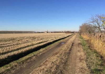 Milano Gravel Roads di Ottobre