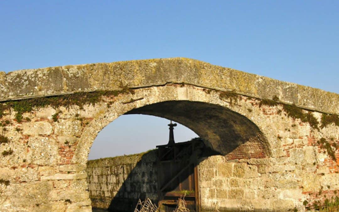 L’esperienza dell’auto elettrica.