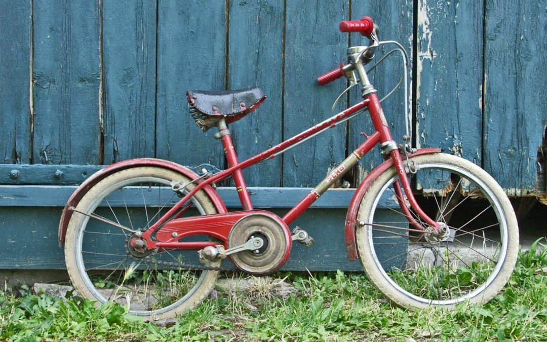 Corti, cortili e biciclette