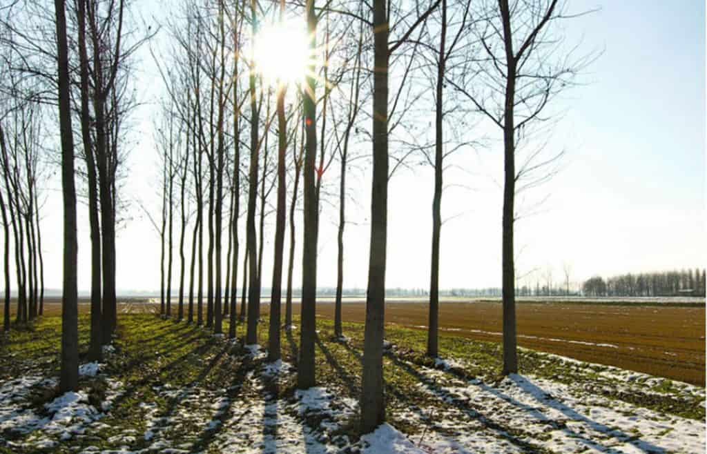 Befana Turbolenta nel Parco del Ticino