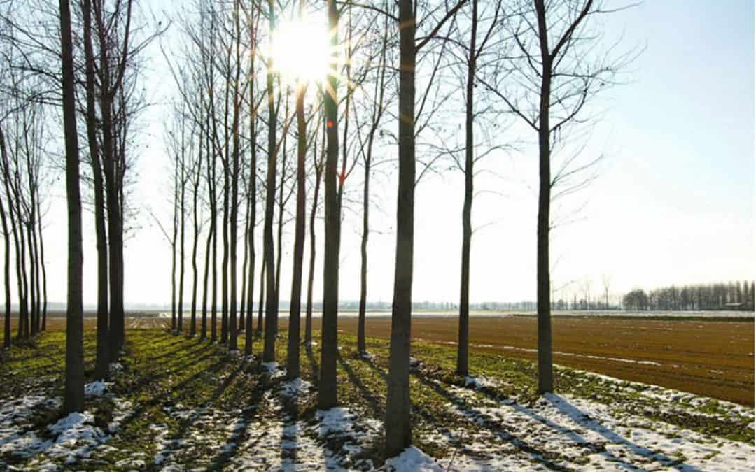 Silenzio d’Inverno: pedalare quando tutto rallenta