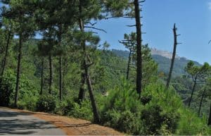 Dalla Versilia al passo del Cipollaio e passo del Vestito