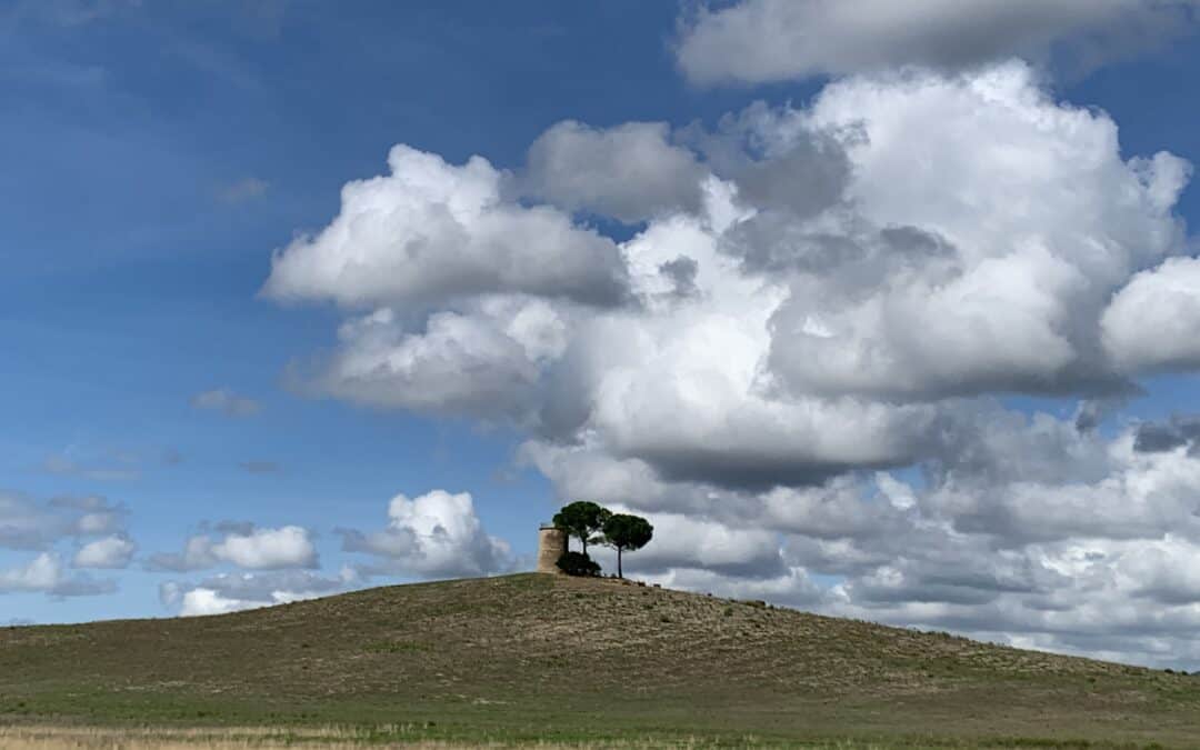 Doping e finanza speculativa