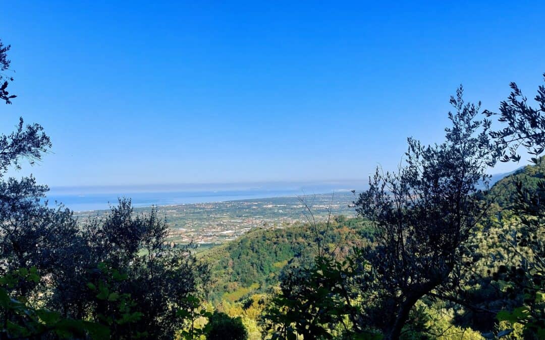 Pedalare tra Lucca e la Versilia