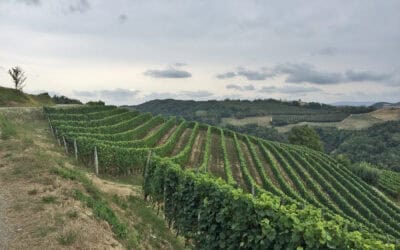 cycletour langhe