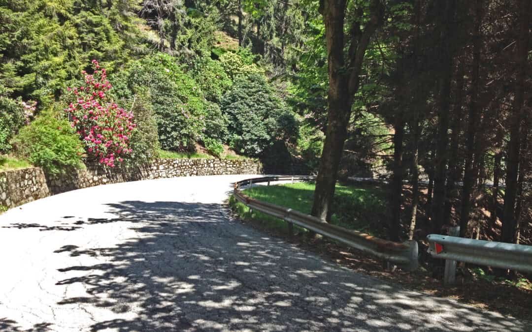 Panoramica Zegna: un sogno di primavera