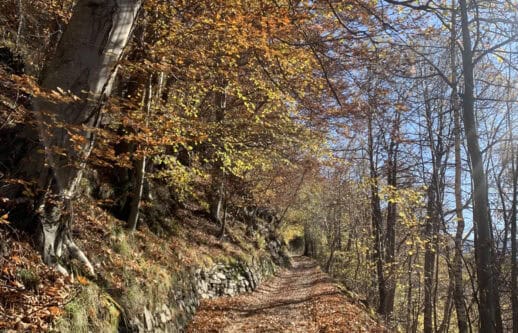 Rifugio Griera