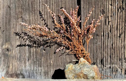 Rifugio Griera al monte Legnone