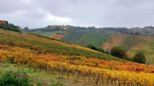 I colli Piacentini: cultura, buon cibo e strade zitte.